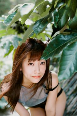花吻在上ova