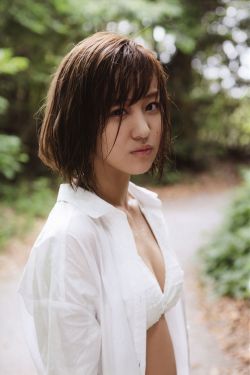 文豪野犬第二季
