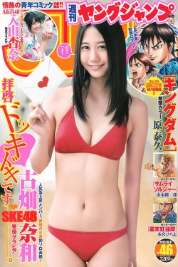 电视剧 大宅门