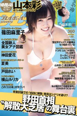 似锦全文免费阅读