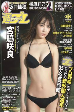 公诉免费观看完整版高清电视剧